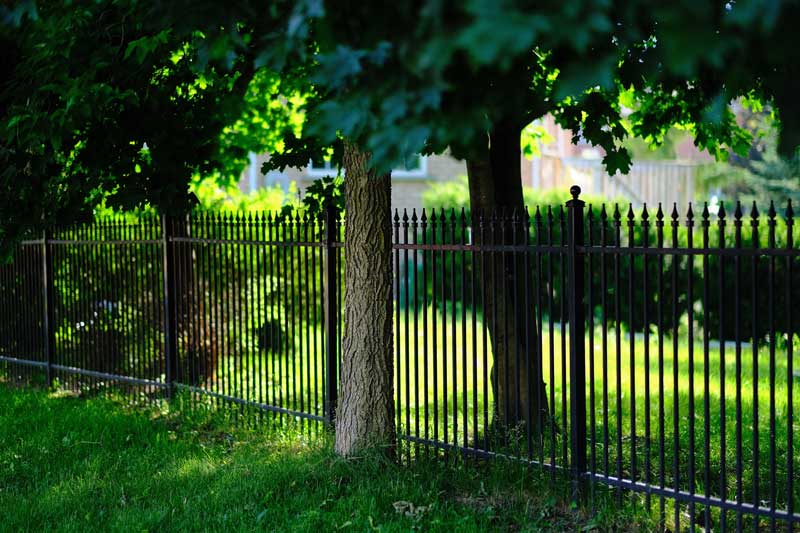 5 Eco-Friendly Fencing Options for Your Home in Newtown, CT​