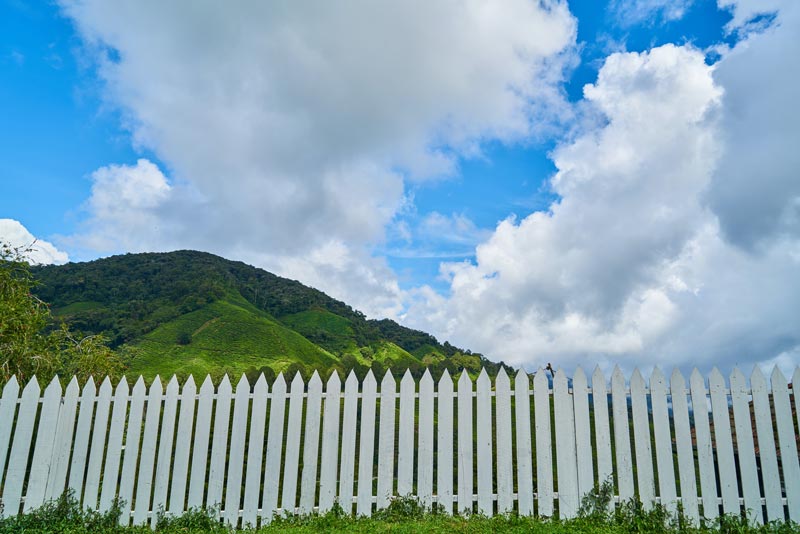 5 Tips for Choosing the Best Fence for Your Property in Newtown, CT​