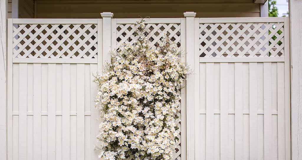 Why Is It Important to Hire a Professional Fence Installer in Newtown, CT?​