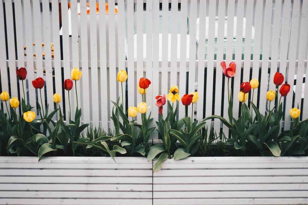 Creative Ways to Decorate Your Fence - Newtown Fence Contractor