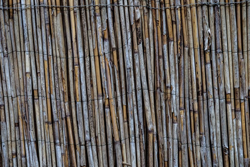 Bamboo Fences in Newtown, CT