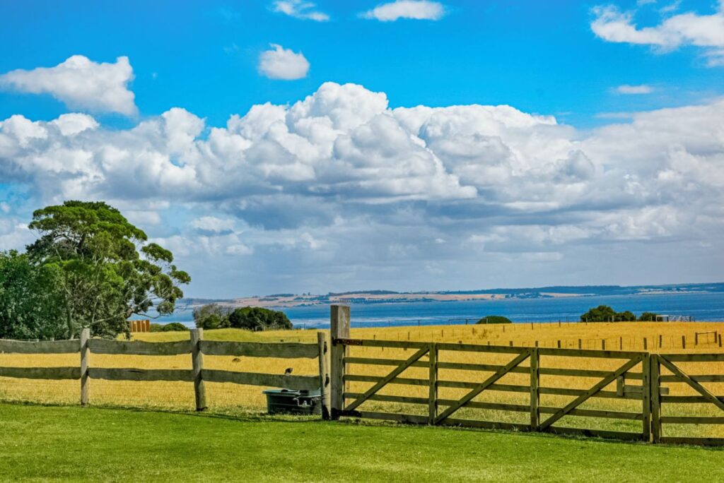 Lake View With Fence