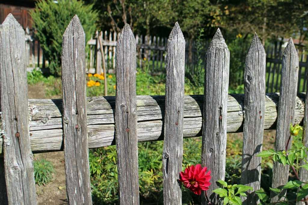 An Old Wooden Fence in a Garden