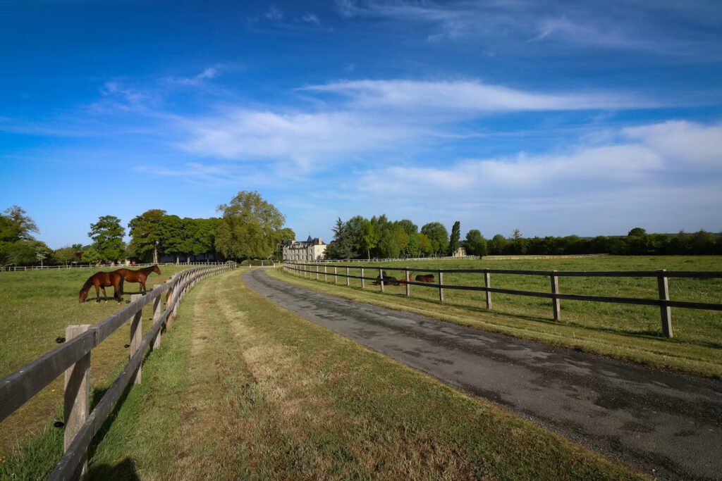 Country side ranch with horses