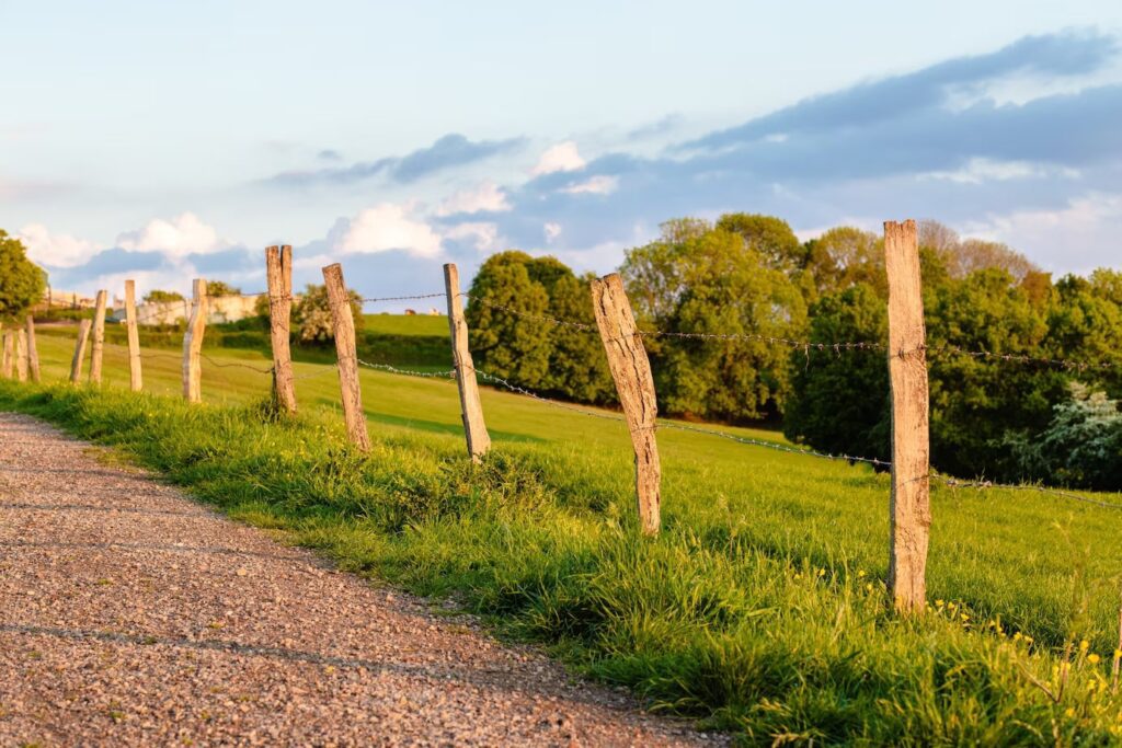 Beautiful shot of road through surrounded by trees with a DIY fence