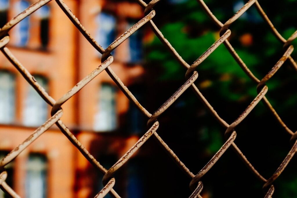 Installing chain link fence in front of a building with tall green tree