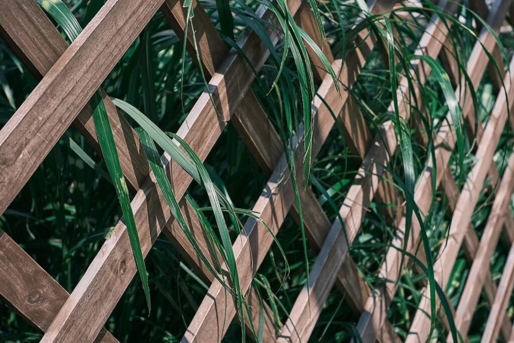 Wooden Fence With Overgrown Leaves